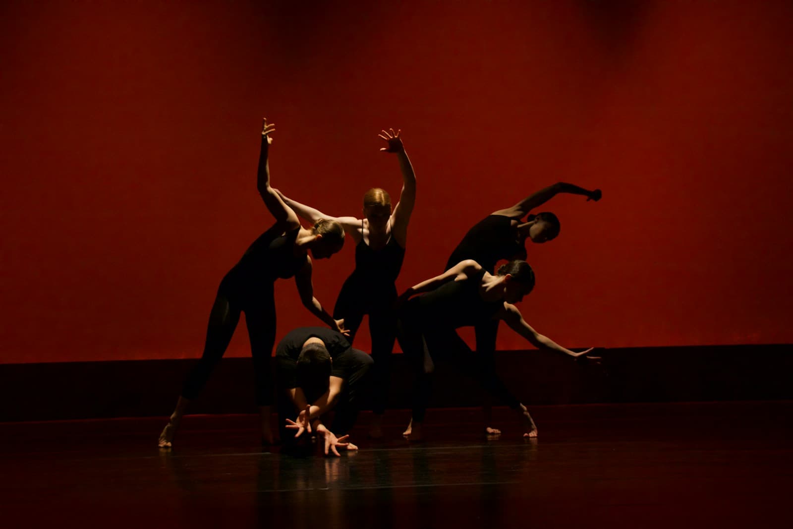 dance hero image